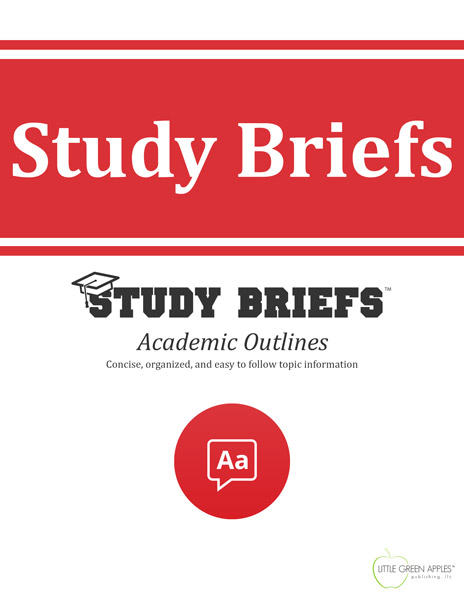 Study Brief cover example