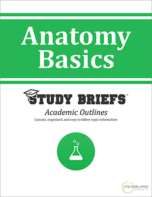 Anatomy Basics cover