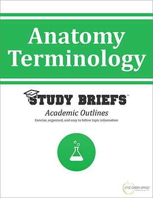 Anatomy Terminology cover