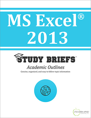 MS Excel 2013 cover