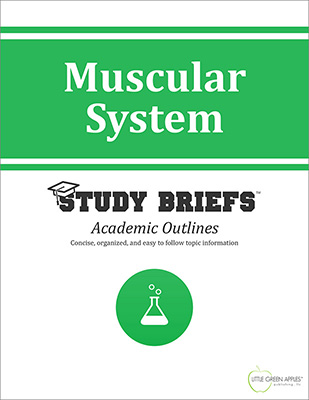 Muscular System cover